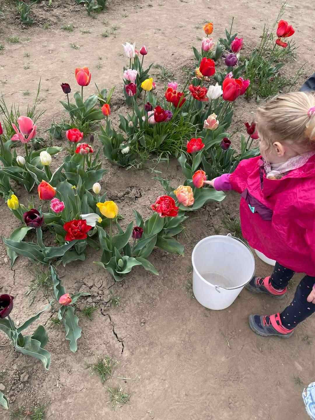 Uscita al campo dei tulipani